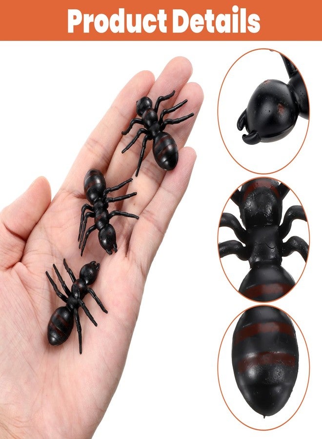 HaiFafafaing 30 Pcs Plastic Ants, Black Fake Ants for Party Decorations, Halloween Prank Toys, Practical Jokes, Cake Decorations - Image 3